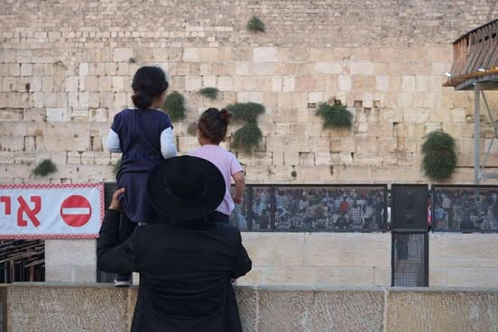 kép_2025-05-26_124948259