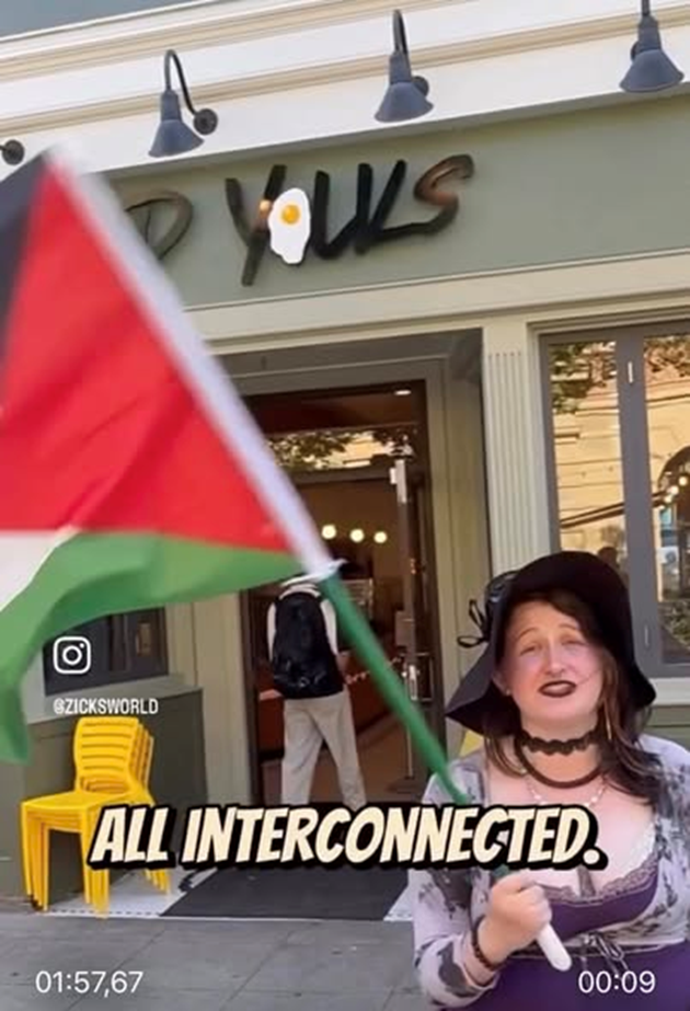 Palesztin zászlós woke