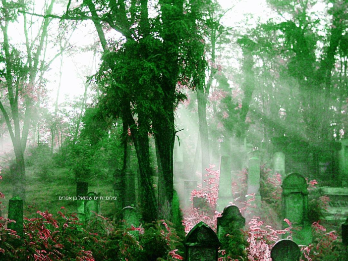 kép_2026-04-12_191407358